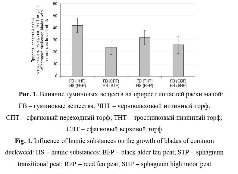 Пример оформления изображения