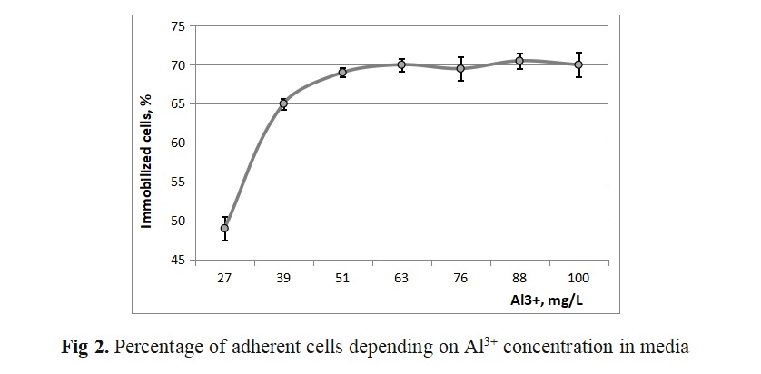 Examples of drawings design